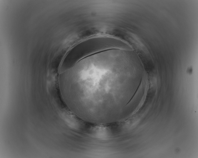 X0000091480276200708161424