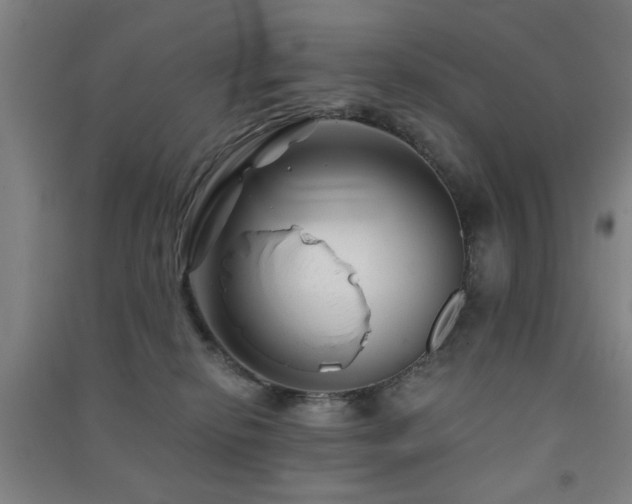 X0000091480278200708161424