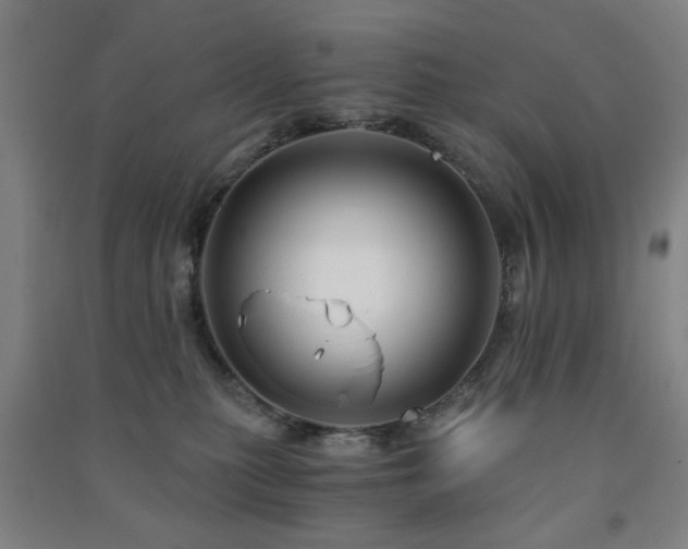 X0000091480279200708161425