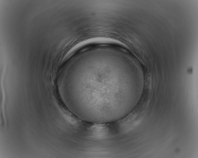 X0000091480280200708161425
