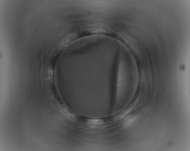 X0000091480281200708161425