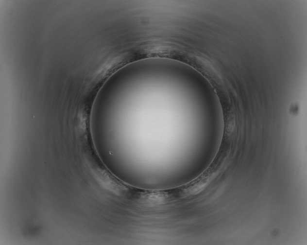 X0000091480282200708161425