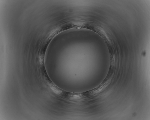 X0000091480285200708161425