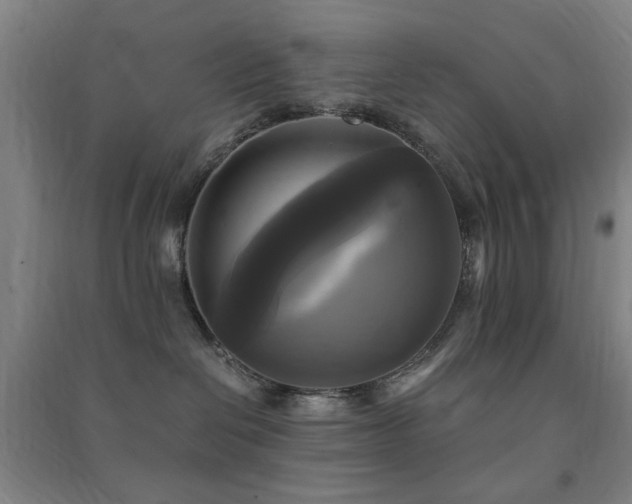 X0000091480286200708161425