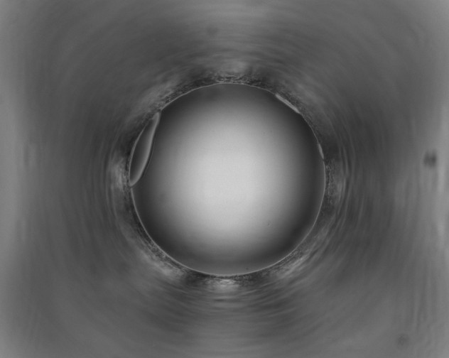 X0000091480287200708161425