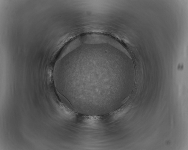 X0000091480288200708161425