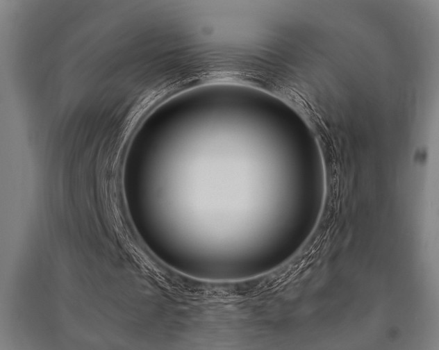 X0000091480289200708161424