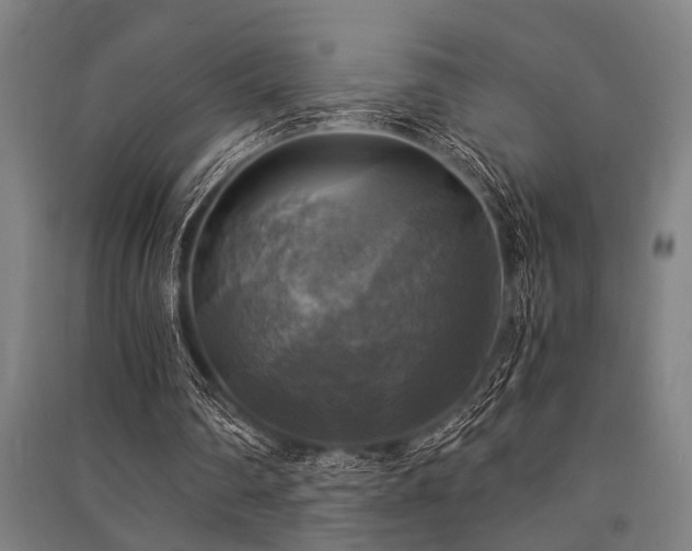 X0000091480290200708161424