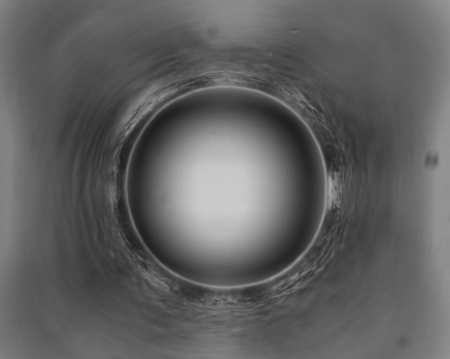 X0000091480291200708161424