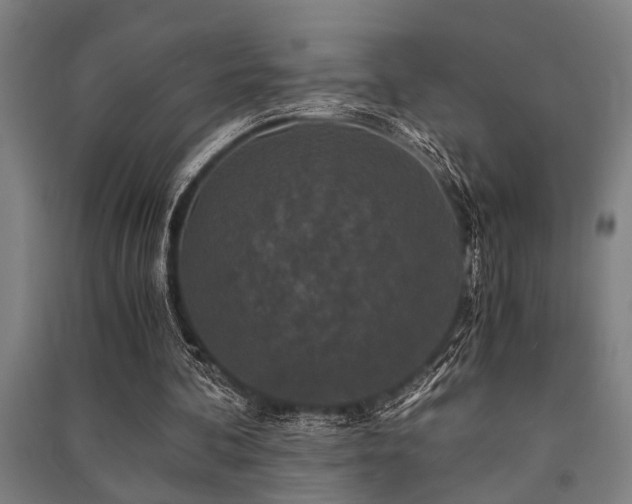 X0000091480292200708161424