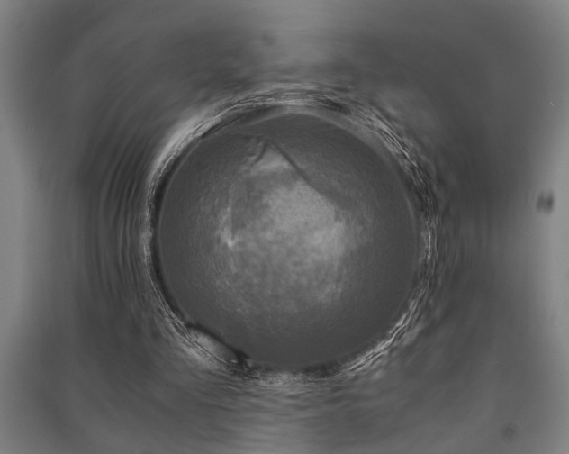 X0000091480293200708161424