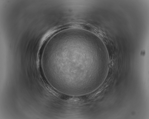 X0000091480294200708161424