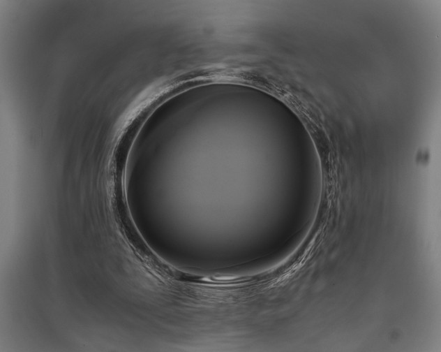 X0000091480295200708161424
