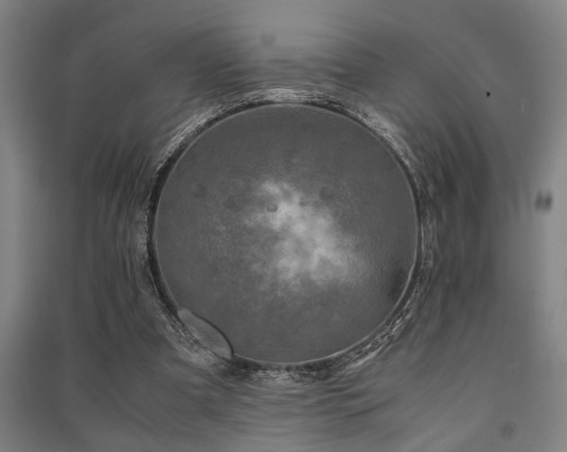 X0000091480297200708161424