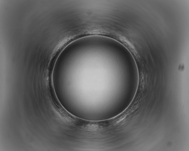 X0000091480298200708161424