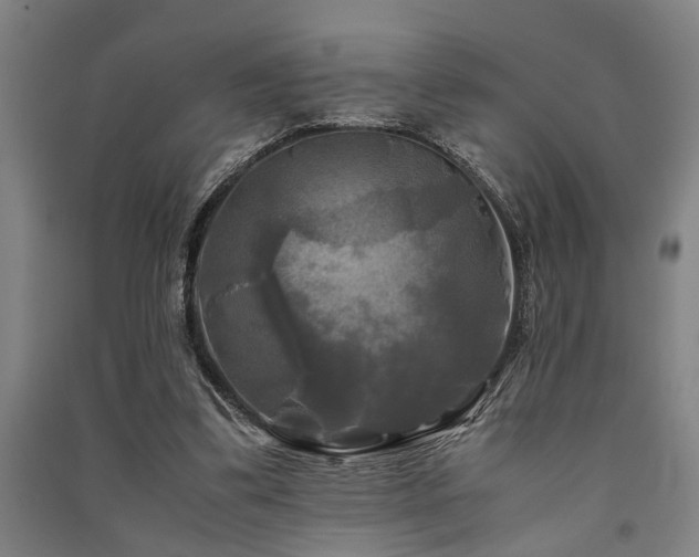 X0000091480299200708161424