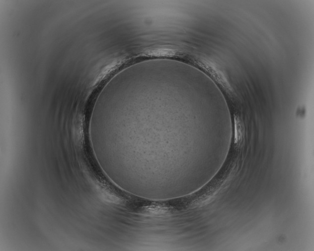 X0000091480300200708161424