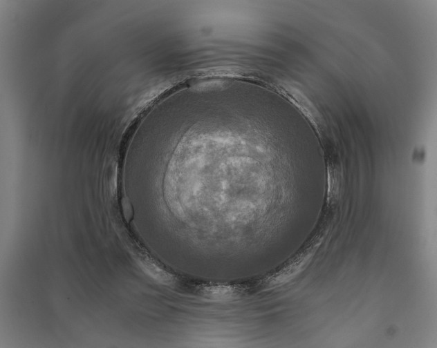 X0000091480301200708161424