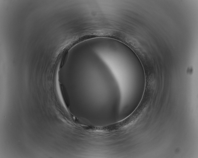 X0000091480303200708161424