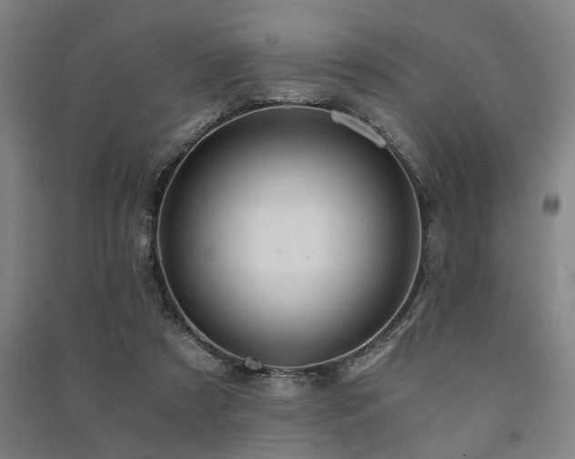 X0000091480305200708161424