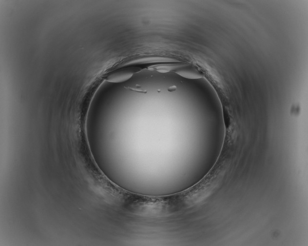 X0000091480306200708161424
