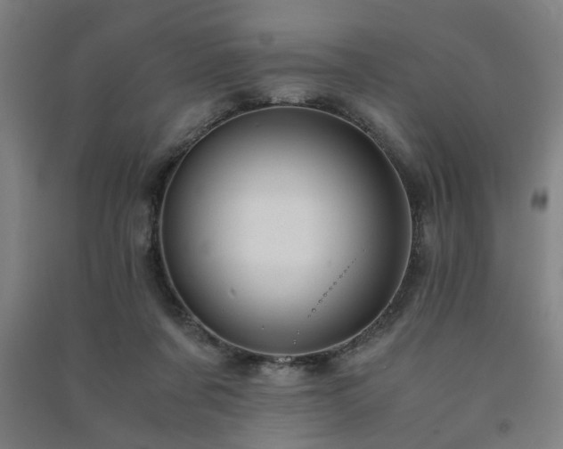 X0000091480311200708161424