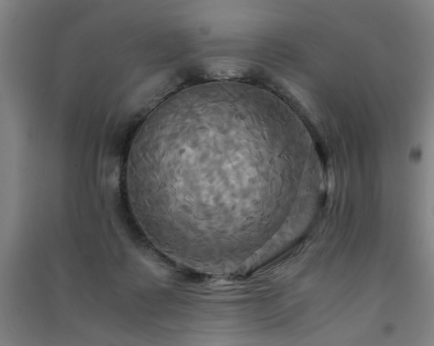 X0000091480315200708161424