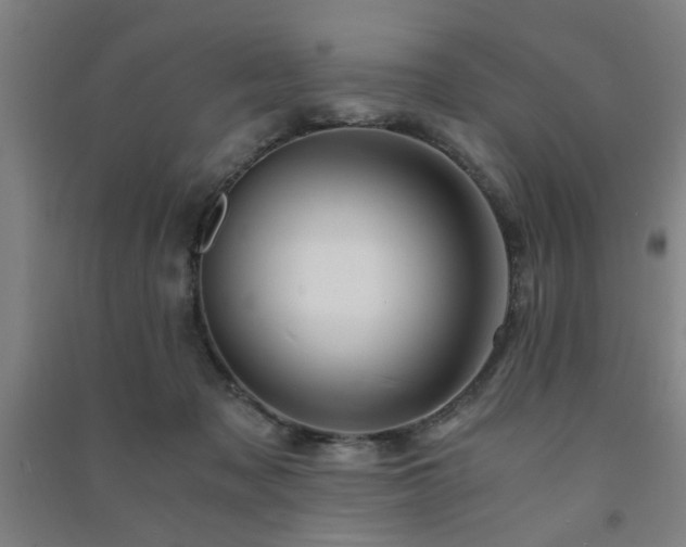 X0000091480317200708161423