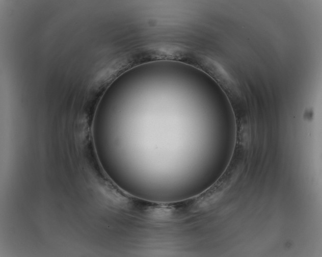 X0000091480318200708161423