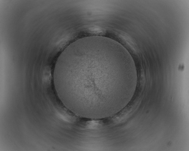 X0000091480320200708161423