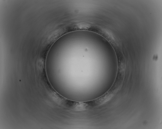 X0000091480321200708161423