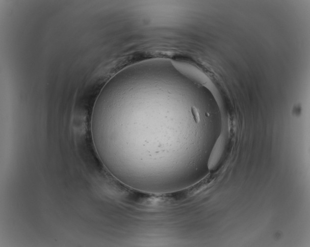 X0000091480323200708161423