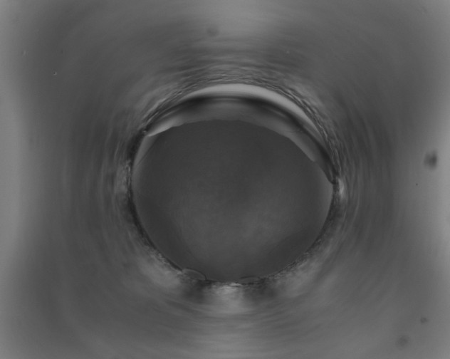 X0000091480325200708161423