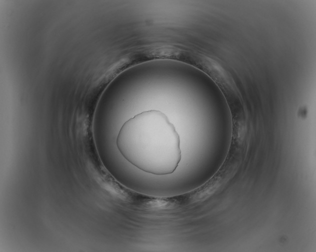 X0000091480326200708161423