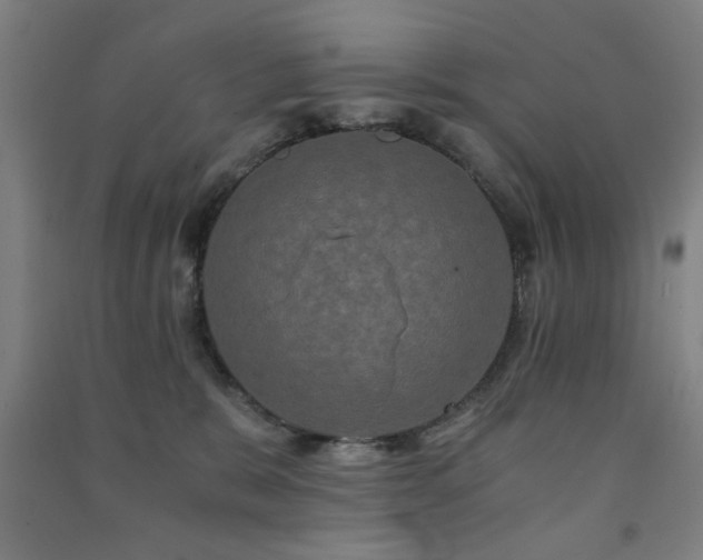 X0000091480327200708161423