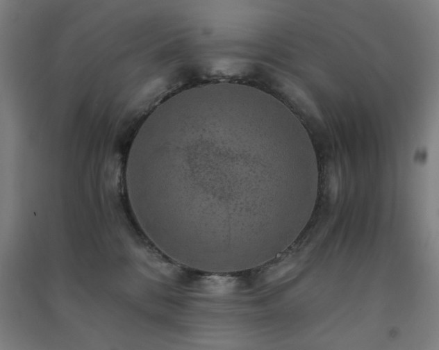 X0000091480328200708161423