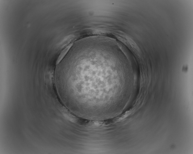 X0000091480329200708161423