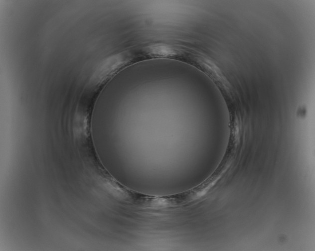 X0000091480330200708161423