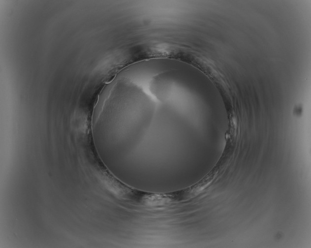 X0000091480331200708161423