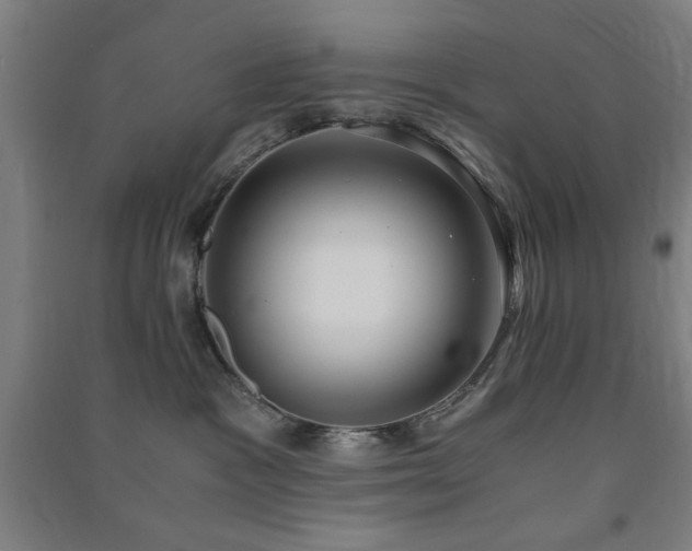 X0000091480333200708161423