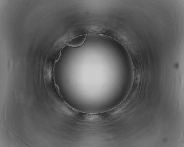 X0000091480334200708161423