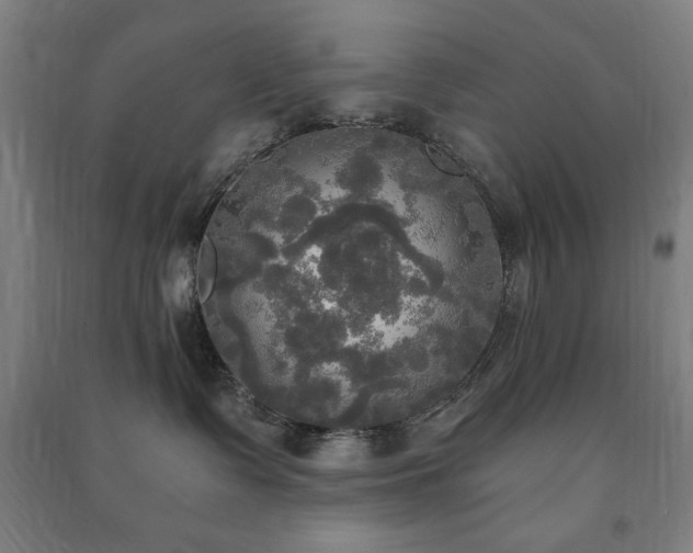 X0000091480335200708161423