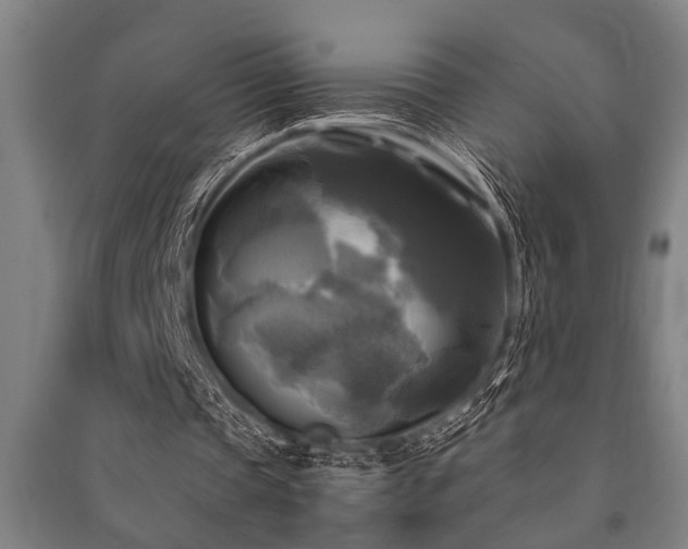 X0000091480337200708161423