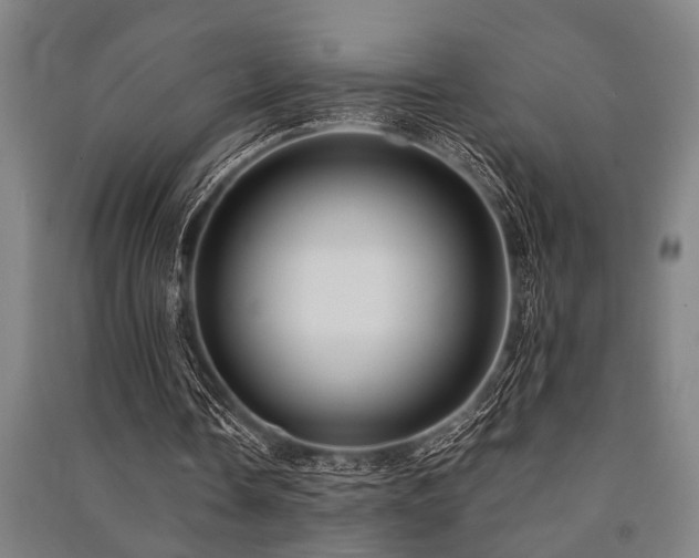 X0000091480338200708161423