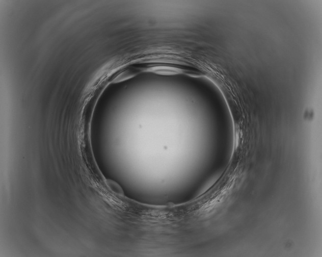 X0000091480339200708161423