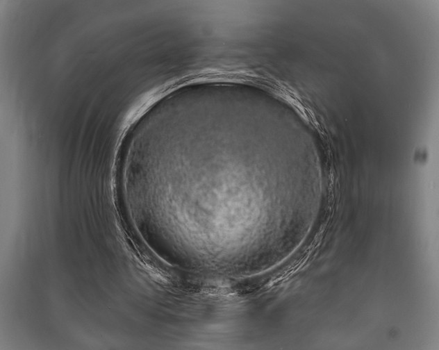 X0000091480340200708161423