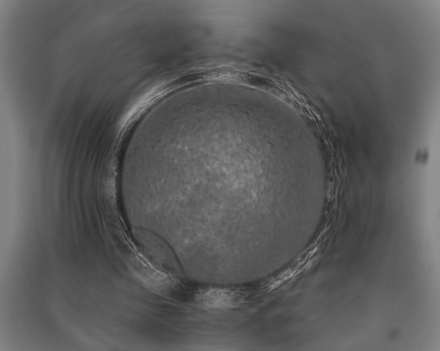 X0000091480341200708161423