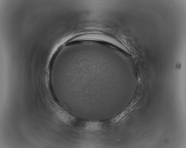 X0000091480342200708161423