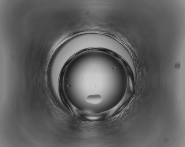 X0000091480344200708161423