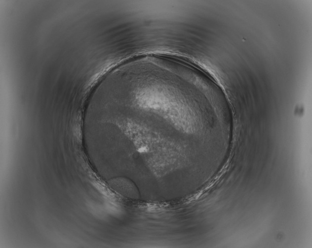 X0000091480345200708161423